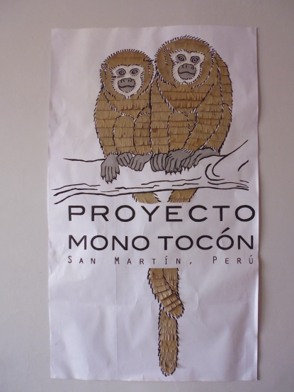 Proyecto Mono Tocón, das Projekt in dem Moses arbeitet.